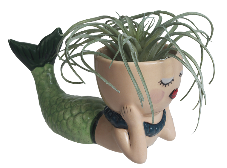 mermaid succulent planter Pearl the Mermaid Planter – River Craft Ceramics