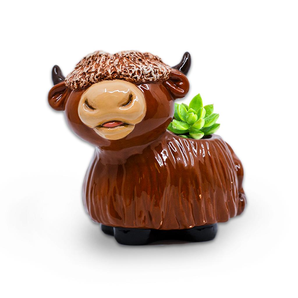 cow plant pot Highland Cow Planter – River Craft Ceramics