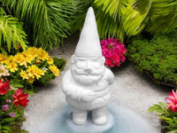 Fizzles the Gnome