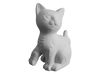 Day of the Dead Kitty