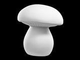 Whimsy Mushroom