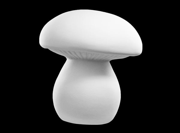 Whimsy Mushroom