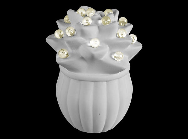 succulent night light Adorable Light Up Succulent Night Light Lamp