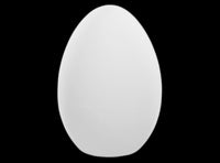 Duck Egg
