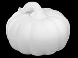 Big Squatty Gourd
