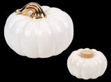 Big Squatty Gourd