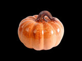 Big Squatty Gourd