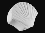 Seashell Box