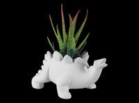 Stegosaurus Dinosaur Succulent Planter