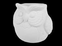 Mini Owl Planter