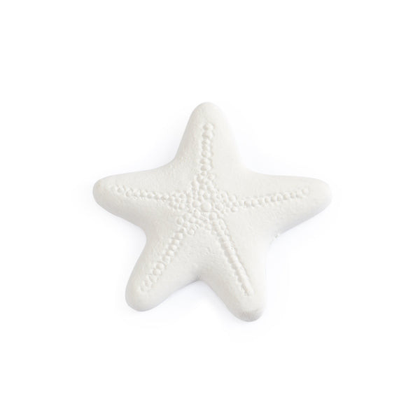 Starfish Bisquies