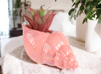 Trumpet Shell Planter