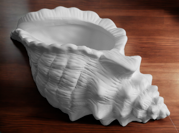 Conch Shell Planter – River Craft Ceramics