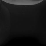 Gare Fun Strokes Underglaze Black Lab FS-2314