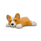 Corgi Sploot Party Animal