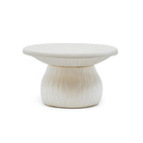 Mushroom Trinket Tray & Box