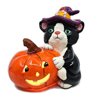 Cat with Jack - O - Lantern