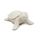 Sea Turtle Box