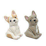 French Bulldog - Preorder 04/22/2026