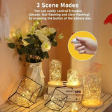 Fairy Tale Mini String Lights  7 Foot 20 LED Mini String Light