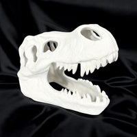 T-Rex Skull