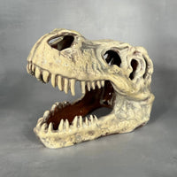 T-Rex Skull