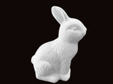 Chocolate Bunny