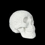 Floral Embossed Skull