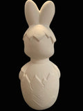 Large Bunny in Cracked Egg
