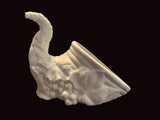 Cornucopia Horn of Plenty