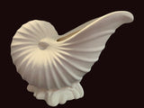 Large Conch Shell Planter