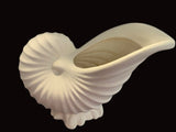 Large Conch Shell Planter