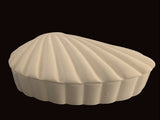 Fan Shell Jewelry Trinket Box