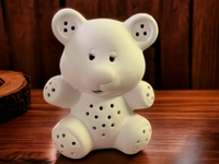 Light Up Teddy Bear