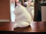 Plump Cat