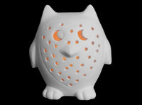 Owl Light Up Night Light Lamp