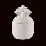Pineapple Canister