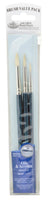 3 PC BRISTLE ROUND Drybrush Set