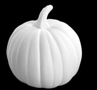 Pi Pumpkin Mighty Tot