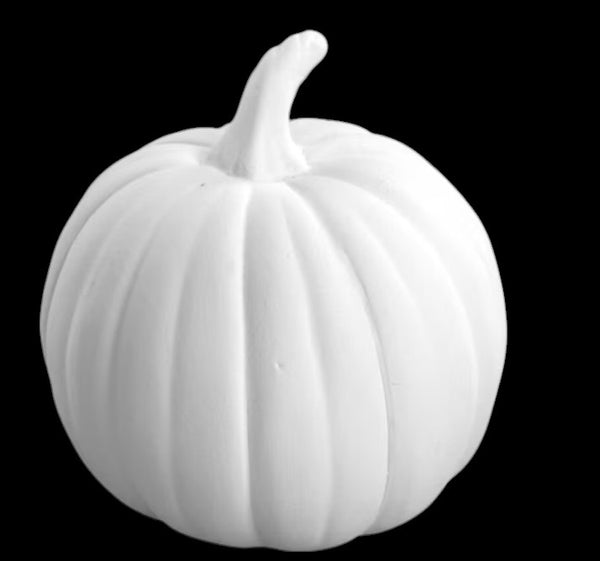 Pi Pumpkin Mighty Tot