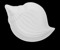 Little Shell Dish