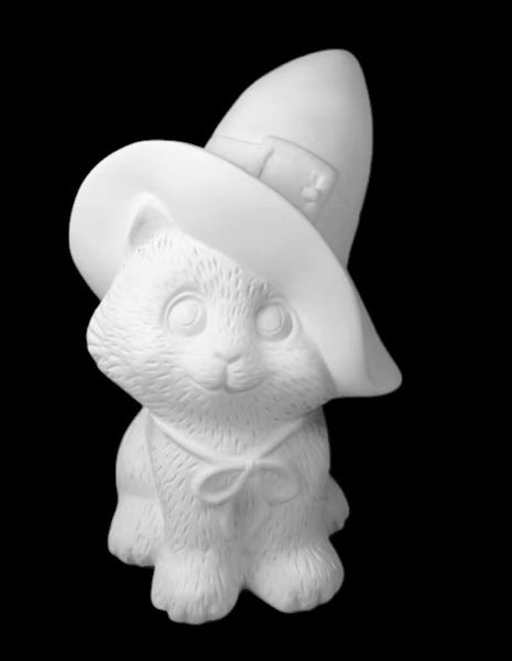 Witch's Kitty