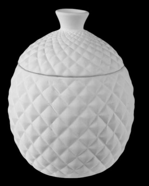 Pinnacle Fruitfly Trap