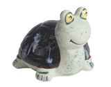 Speedy the Turtle
