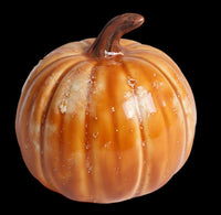 Pi Pumpkin Mighty Tot