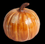 Pi Pumpkin Mighty Tot