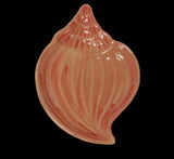 Little Shell Dish