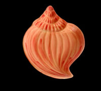 Little Shell Dish