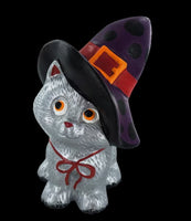 Witch's Kitty