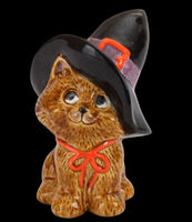 Witch's Kitty
